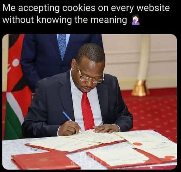 Me accepting cookies on every website without knowing the meaning