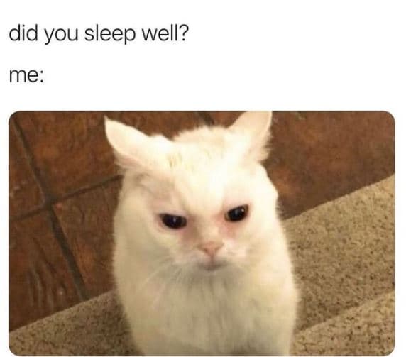 Did you sleep well? me