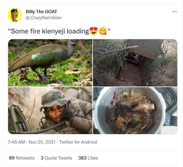 Billy the goat crazynairobian some fire kienyeji loading 748 am nov 25, twitter