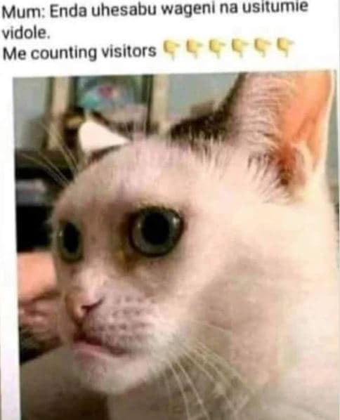 Mum enda uhesabu wageni na usitumie vidole me counting visilors