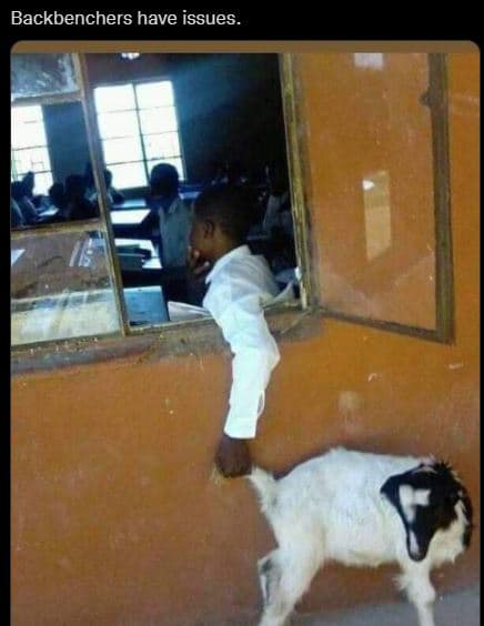 Backbenchers have issues.