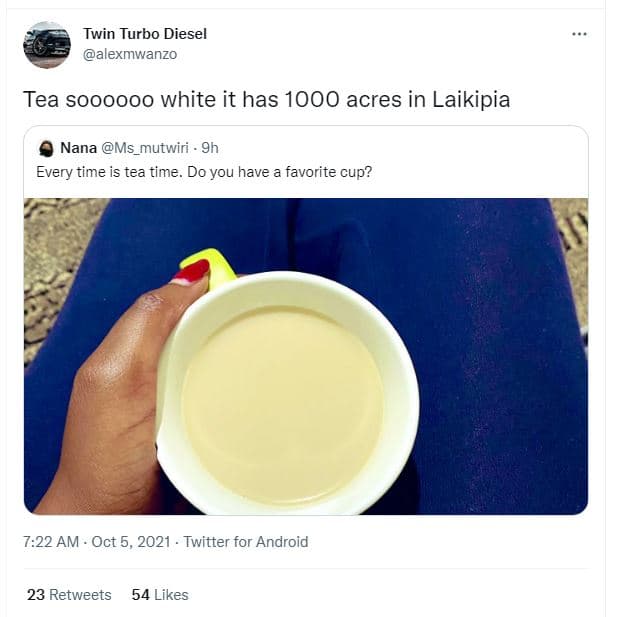 Twin turbo diesel alexmwanzo tea soooooo white it has acres in laikipia nana ms_