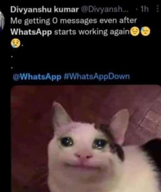 Divyanshu kumar divyansh 1h me getting 0 messages even after whatsapp starts wor