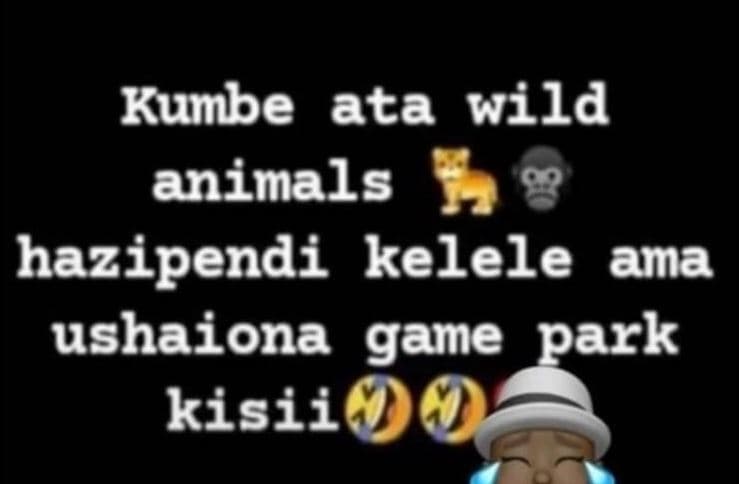 Kumbe ata wild animals hazipendi kelele ama ushaiona game park kisii