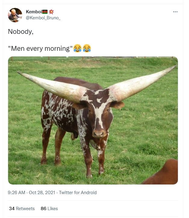 Kemboi kemboi_bruno nobody men every morning 9.26 am oct 28, twitter for android