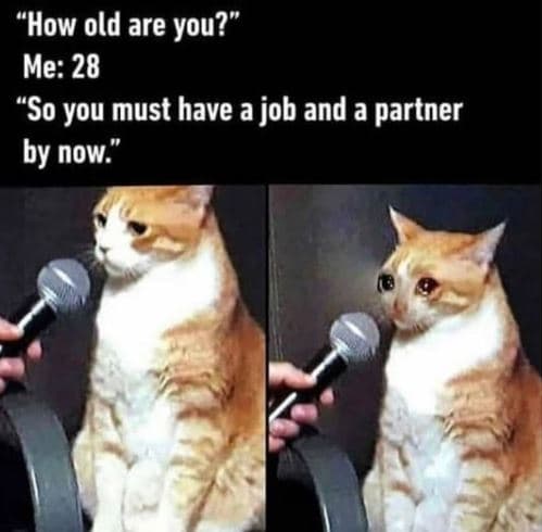 'how old are you? me 28 so you must have a job and a partner by now