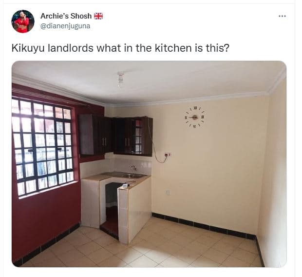 Archie s shosh dianenjuguna kikuyu landlords what in the kitchen is this?