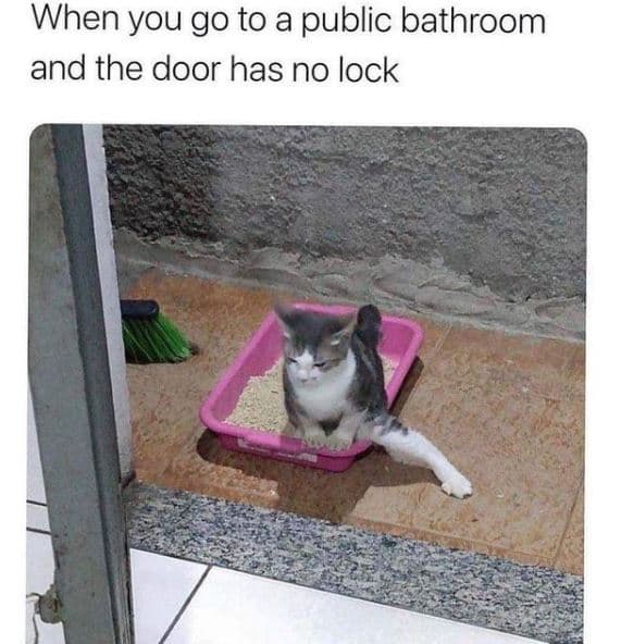 When you go to a public bathroom and the door has no lock
