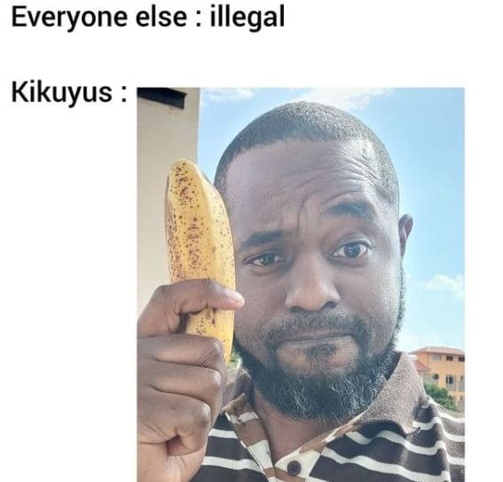 Everyone else illegal kikuyus