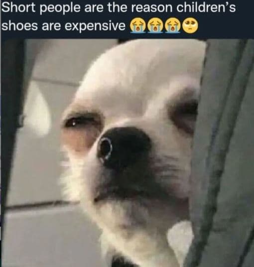 Short people are the reason children's ishoes are expensive