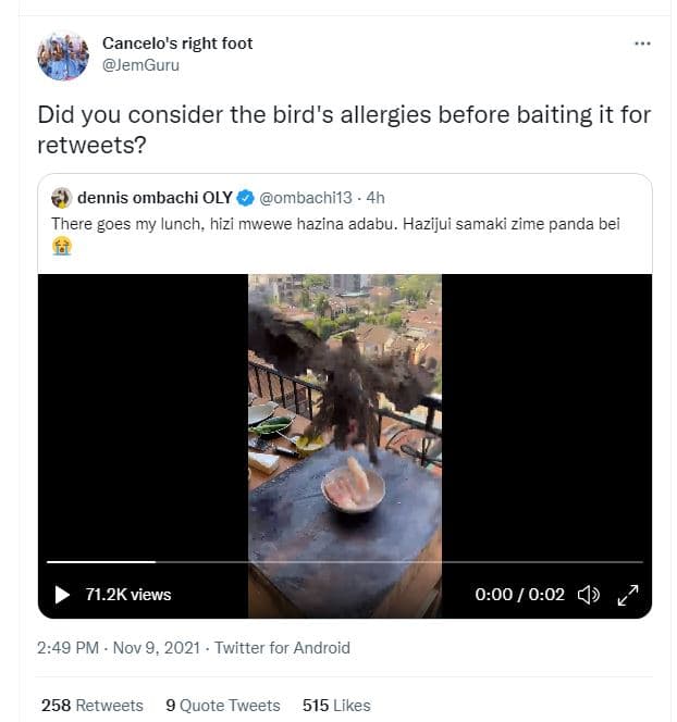 Cancelo's right foot jemguru did you consider the bird's allergies before baitin