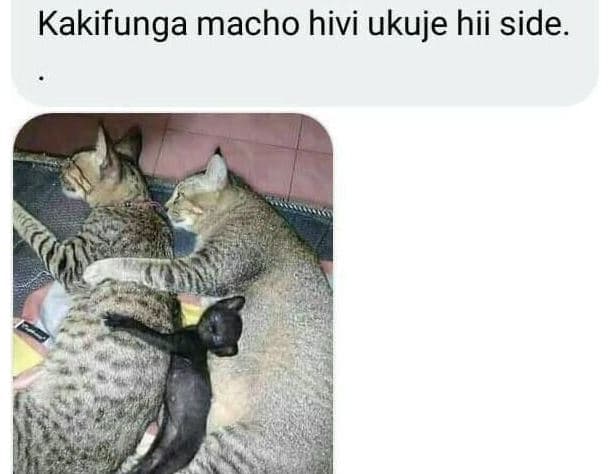 Kakifunga macho hivi ukuje hii side.