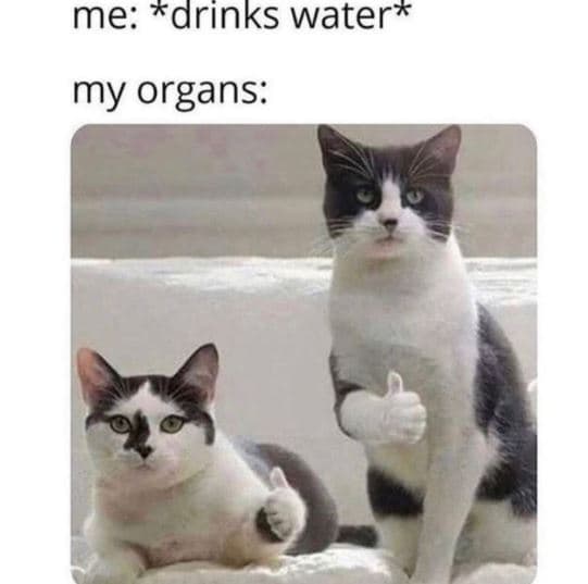 Me drinks water my organs