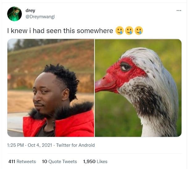 Drey dreymwangi knew had seen this somewhere 1.25 pm oct 4, twitter for android