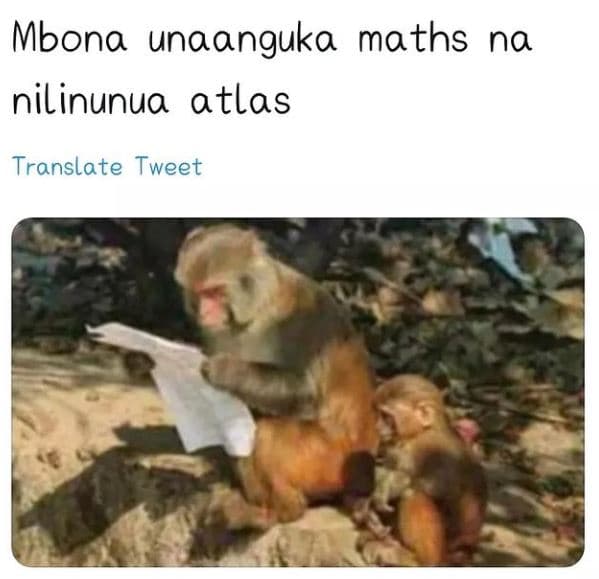 Mbona unaanguka maths na nilinunua atlas translate tweet