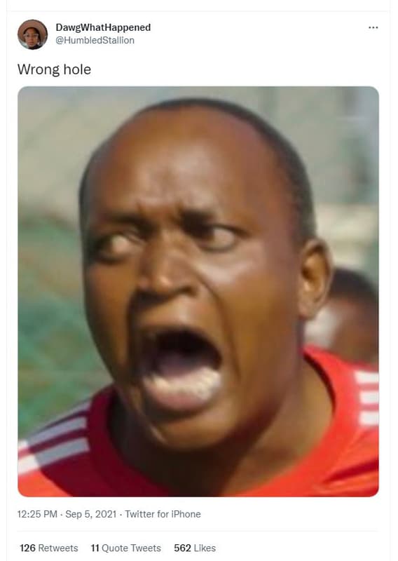 Dawgwhathappened humbledstallion wrong hole 12.25 pm sep 5, twitter for iphone 1