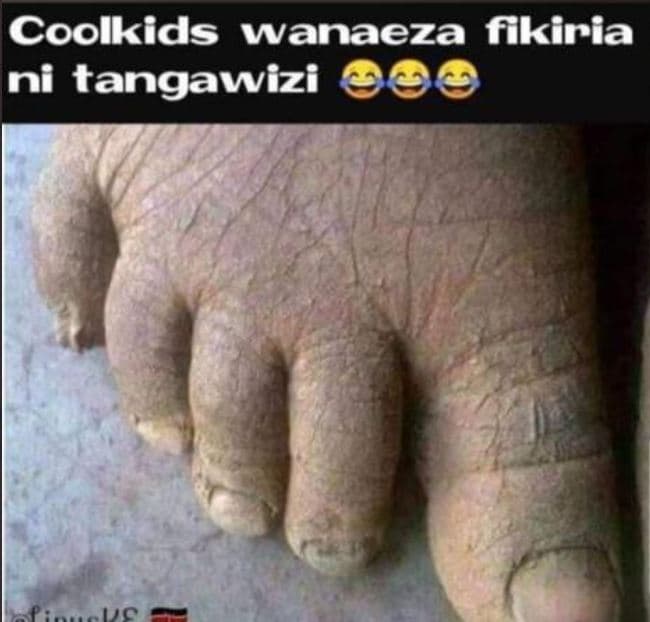Coolkids wanaeza fikiria ni tangawizi