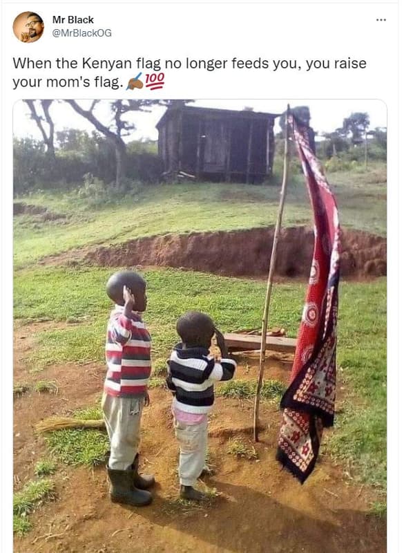 Mr black mrblackog when the kenyan flag no longer feeds you you raise your mom's