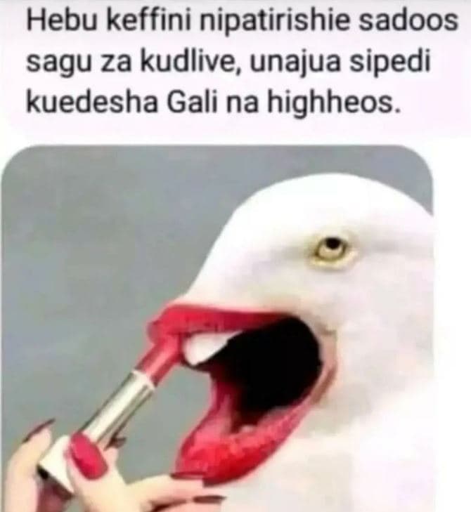 Hebu keffini nipatirishie sadoos sagu za kudlive, unajua sipedi kuedesha gali na