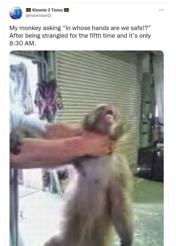 Kimmie 2 times trackmann2 my monkey asking in whose hands are we safe!? after be