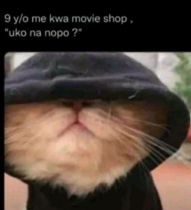 9 ylo me kwa movie shop uko na nopo ?