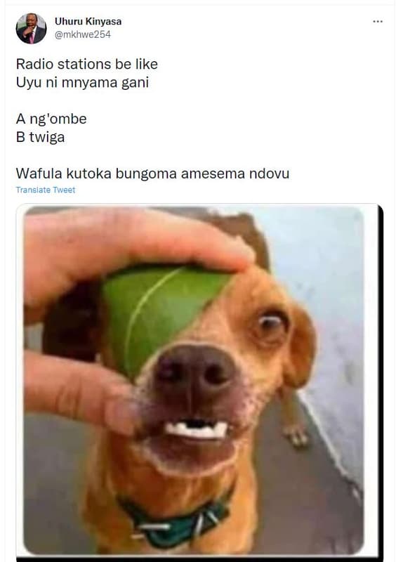 Uhuru kinyasa mkhwe254 radio stations be like uyu ni mnyama gani a ng'ombe b twi