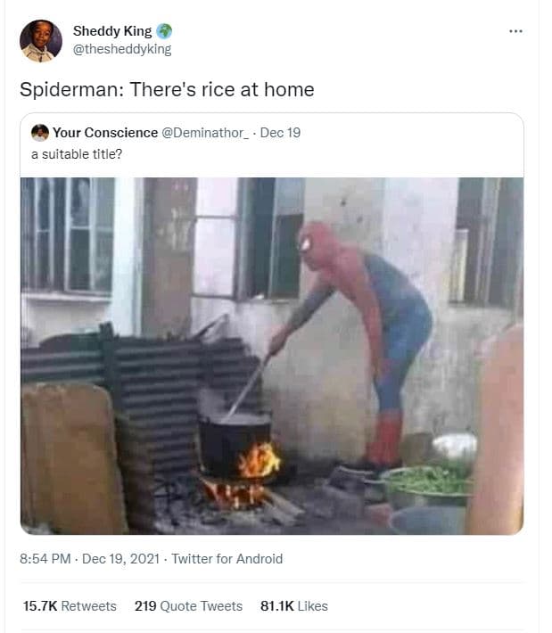 Sheddy king theshedayking spiderman there's rice at home your conscience deminat