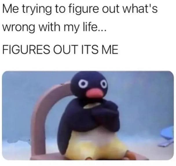 Me trying to figure out what's wrong with my life figures out its me