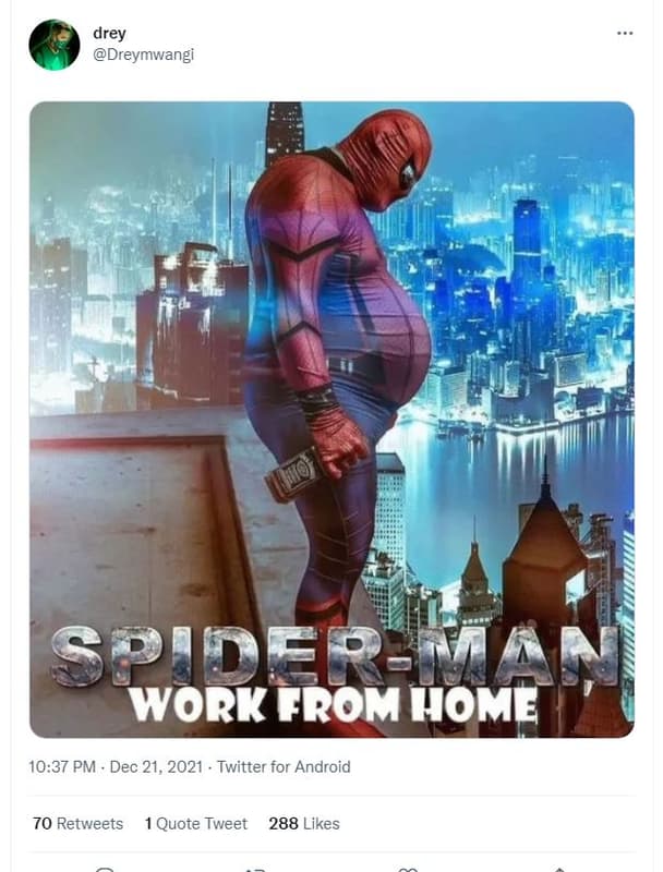 Drey dreymwangi spider_may work from home 10.37 pm dec 21, twitter for android 7