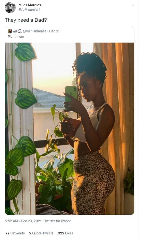 Miles morales jbmwamieni_ they need a dad? alq mariiamariiee dec 21 plant mom 5.