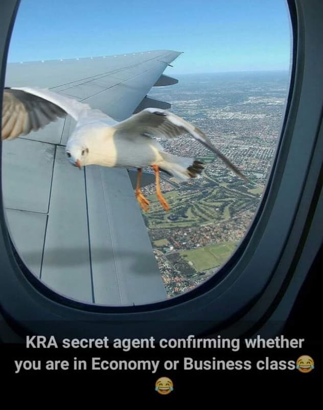 Kra secret agent confirming whether you are in economy or business class
