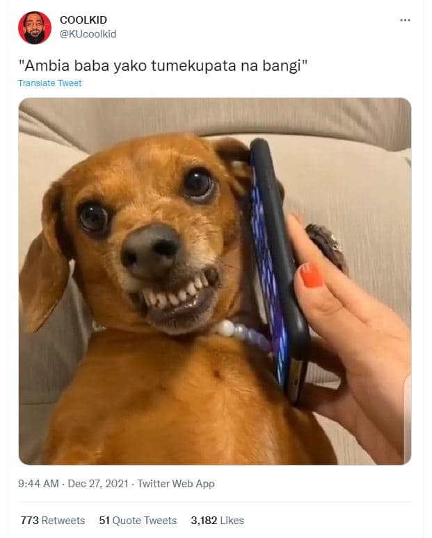 Coolkid kucoolkid ambia baba yako tumekupata na bangi translate tweet 9.44 am .
