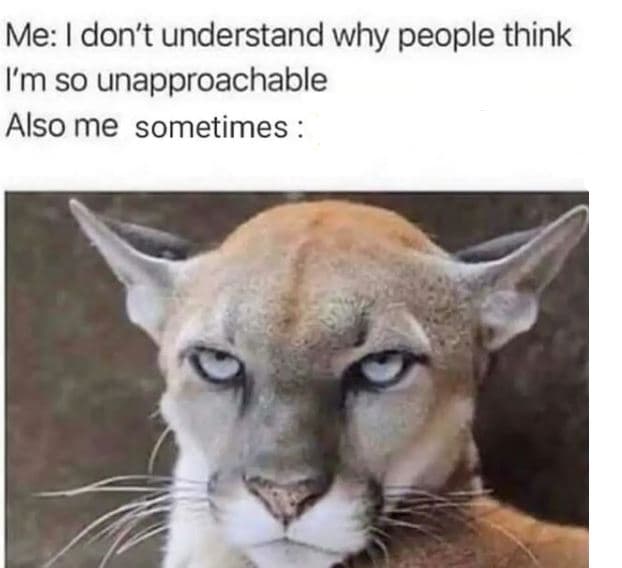 Me don't understand why people think im so unapproachable also me sometimes