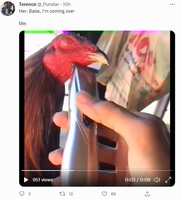 Terence punstar 1oh her babe, 1m coming over me 951 views 003 0.09 c l 12