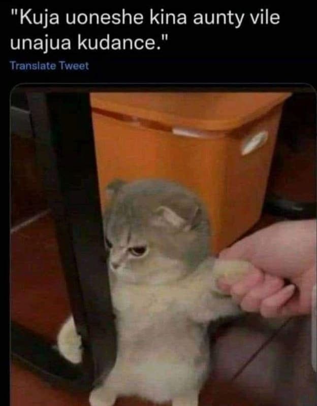 Kuja uoneshe kina aunty vile unajua kudance translate tweet