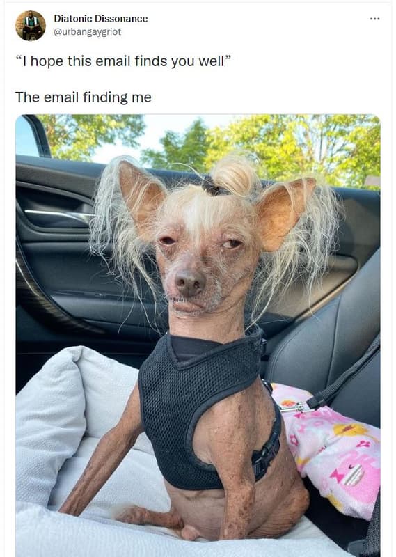 Diatonic dissonance urbangaygriot hope this email finds you well the email findi