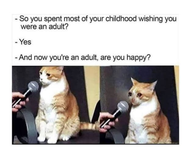 So you spent most of your childhood wishing you were an adult? yes and now you'r