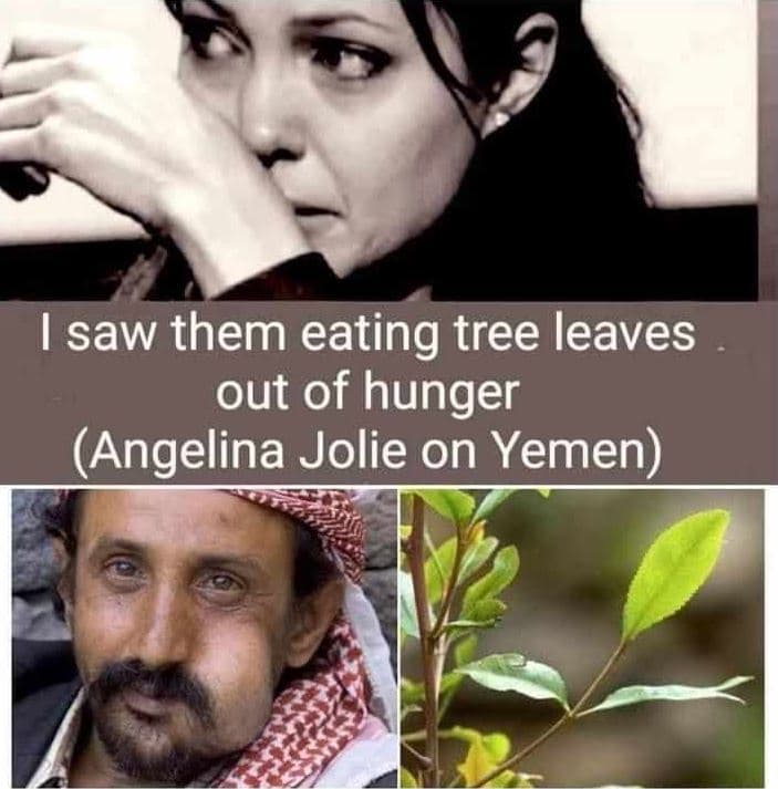 Isaw them eating tree leaves out of hunger angelina jolie on yemen