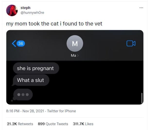 Steph hunnywhore my mom took the cat i found to the vet 36 m ma she is pregnant