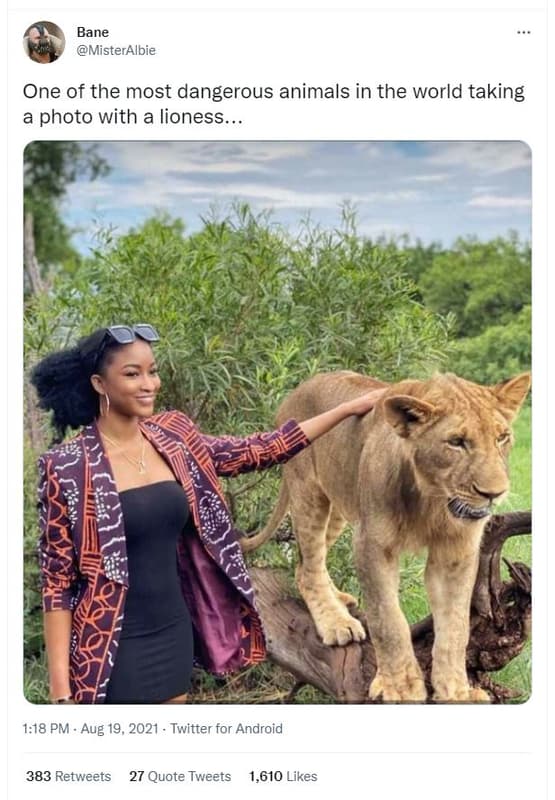 Bane misteralbie one of the most dangerous animals in the world taking photo wit