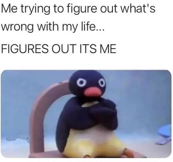 Me trying to figure out what's wrong with my life. figures out its me