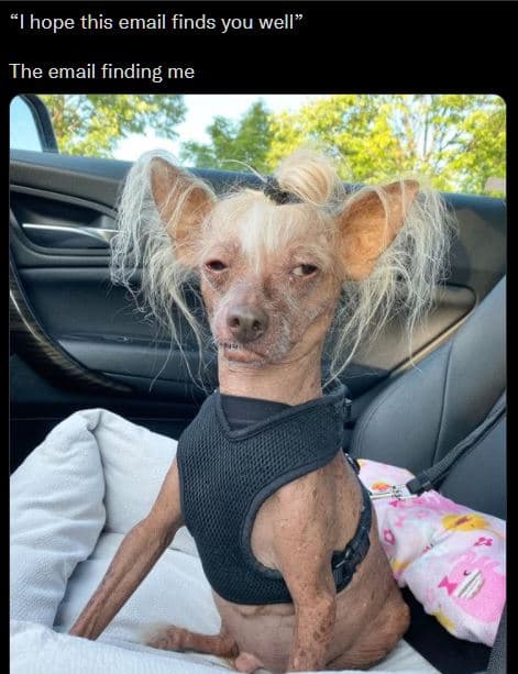 Ihope this email finds you well the email finding me