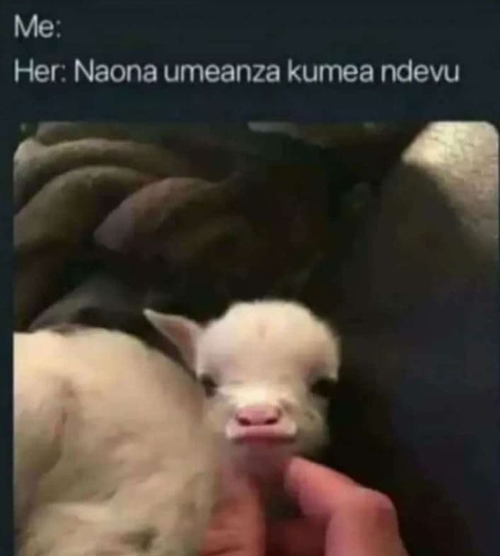 Me her naona umeanza kumea ndevu