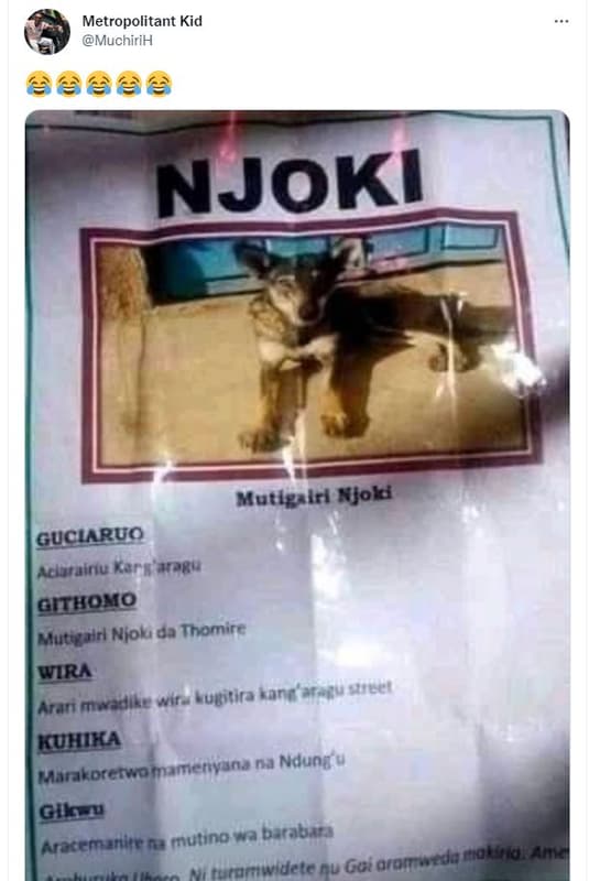 Metropolitant kid muchirih njoki mutlgsiri kjok guclaruo aintaitiu kafr jpru air