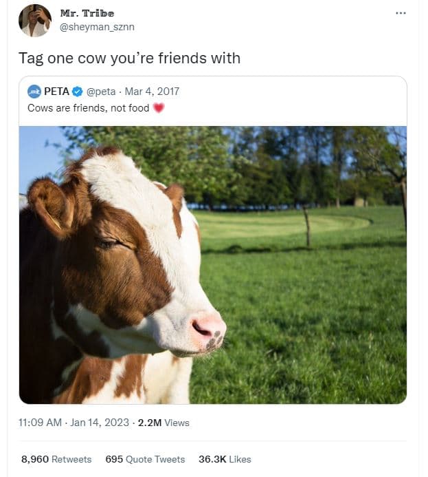 Mr. tribe sheyman_sznn tag one cow you're friends with peta peta mar 4, cows are