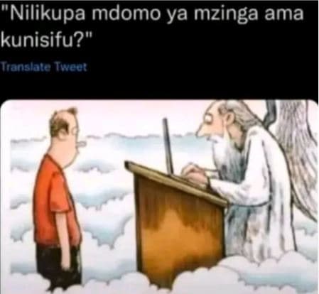 'nilikupa mdomo ya mzinga ama kunisifu? janslale twcor