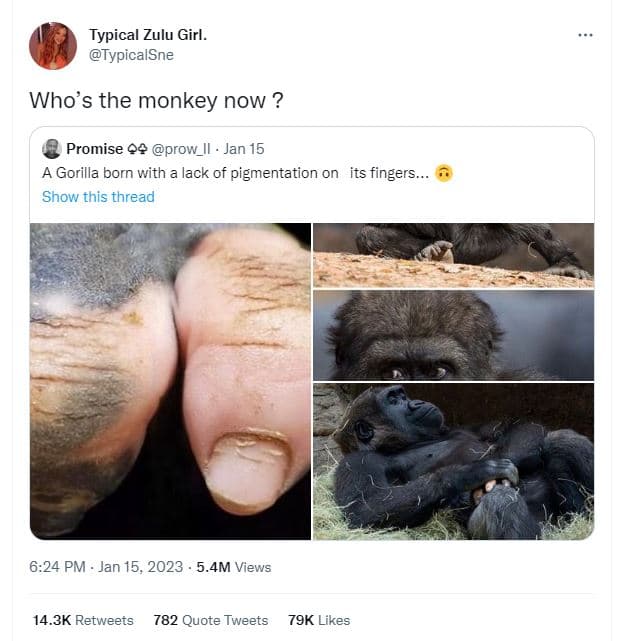 Typical zulu girl. typicalsne who's the monkey now ? promise ?ę prow_ii jan 15 4