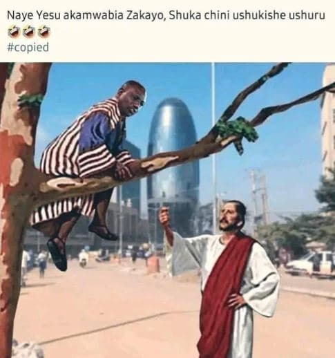 Naye yesu akamwabia zakayo shuka chini ushukishe ushuru copied