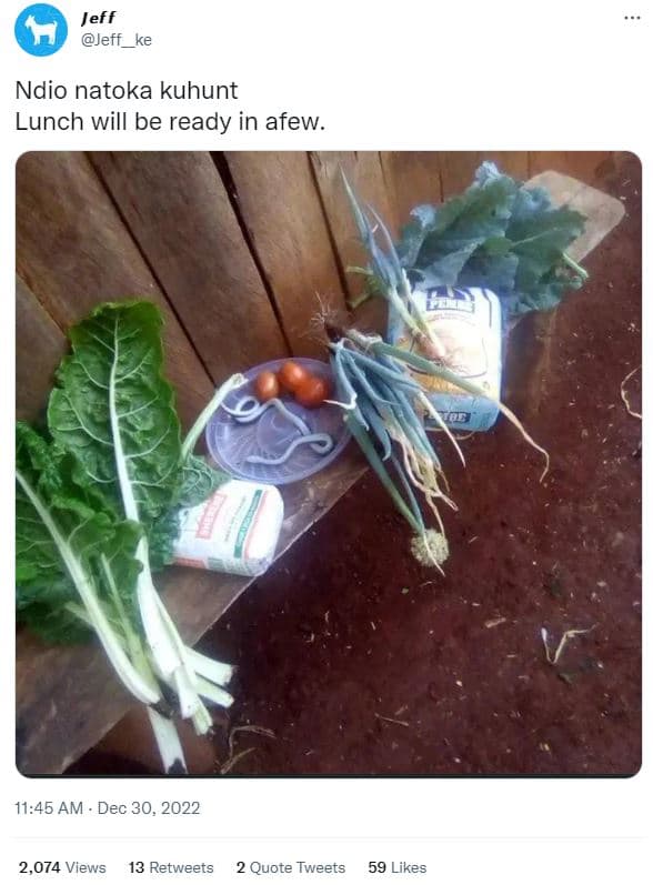 Jeff jeff ndio natoka kuhunt lunch will be ready in afew. 11.45 am dec 30, 2,074