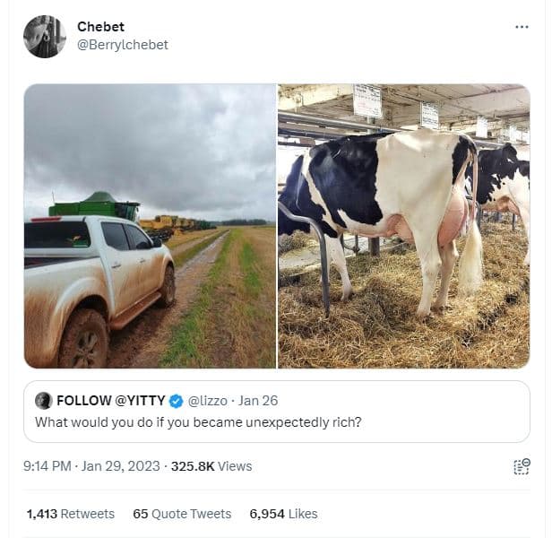 Chebet berrylchebet follow yitty lizzo jan 26 what would you do if you became un